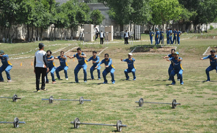 cricket training