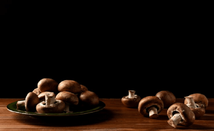 Mushroom Chocolates