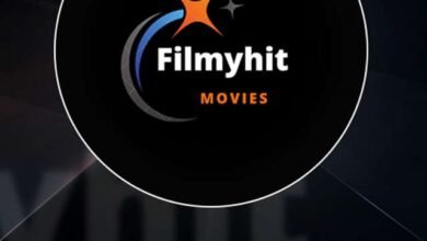 Filmyhit Max