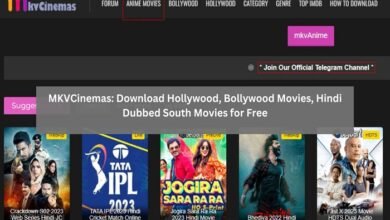 mkvcinemas bollywood