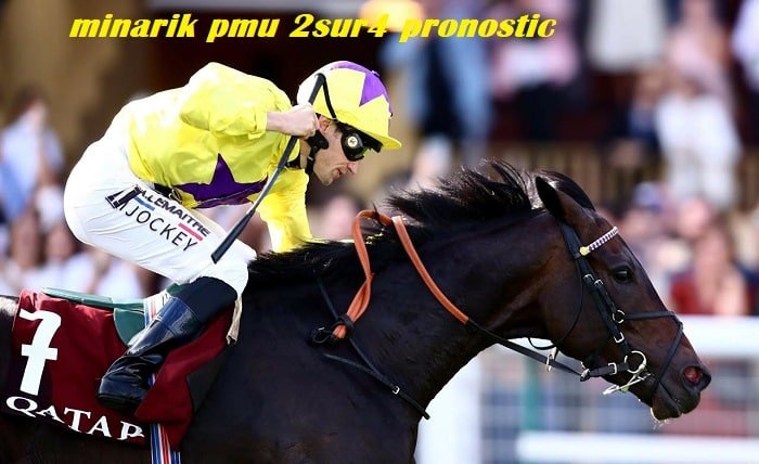 minarik pmu 2sur4 pronostic